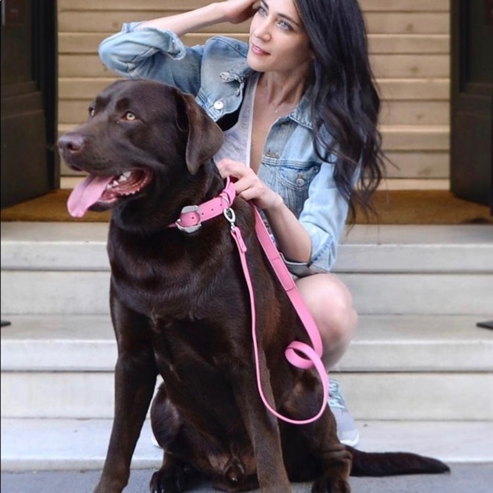 MOSHIQA Pink Leather Dog Leash Lead Designer Logo Pet Lead Gold Celebrity Pretty